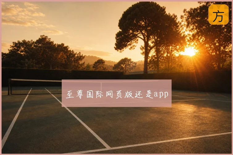 至尊国际网页版还是app